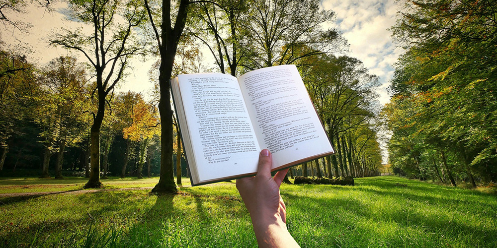 New Education Books Banner