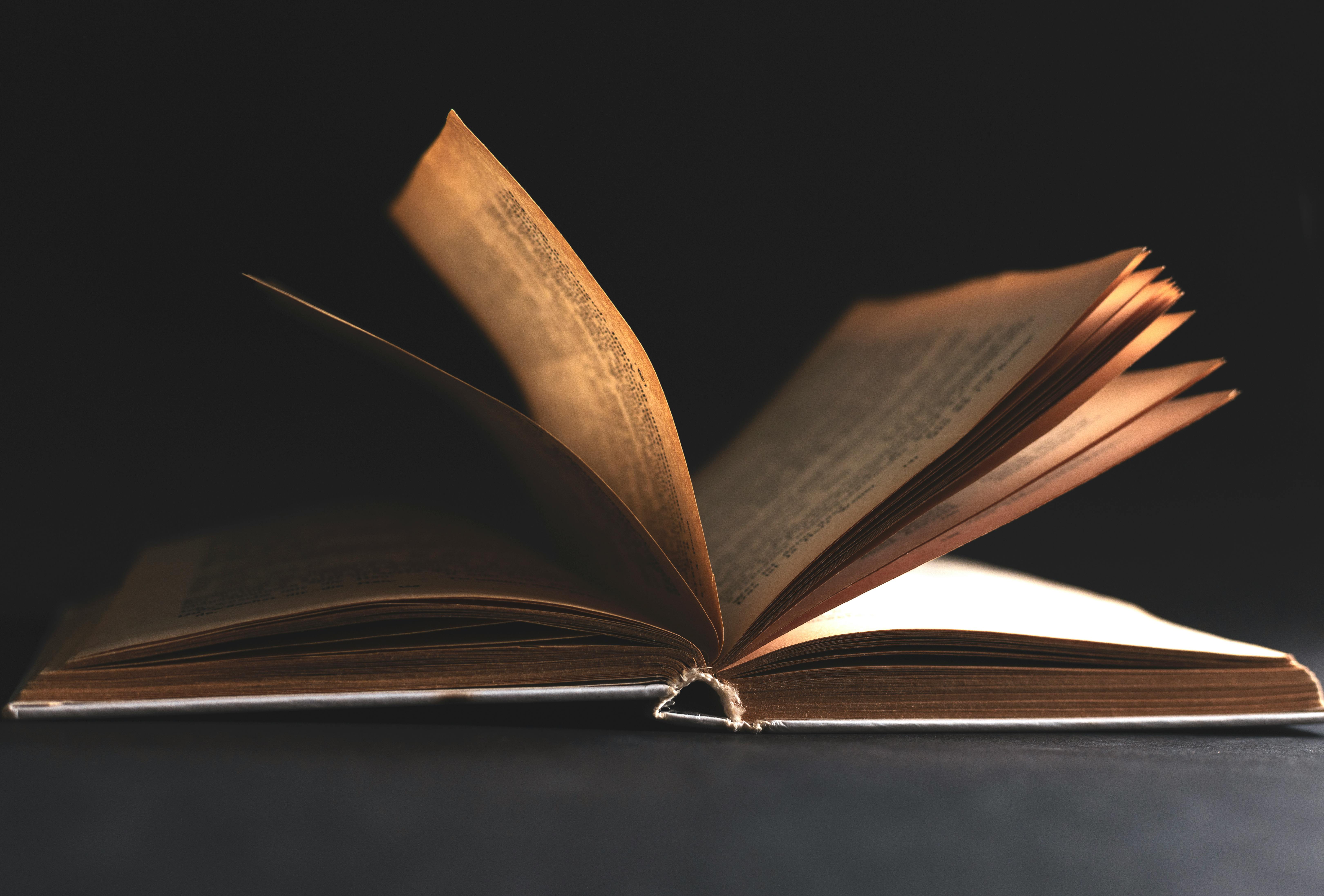 scholarly publishing